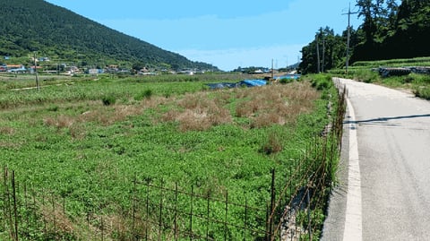 물건 사진 23