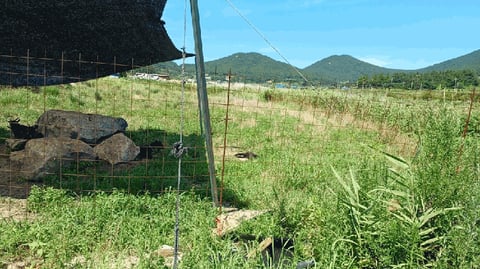 물건 사진 24