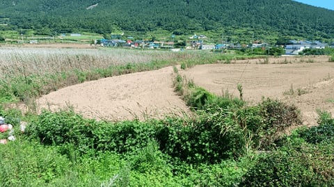 물건 사진 8