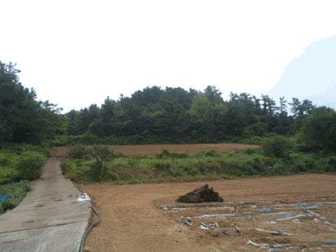 물건 사진 7