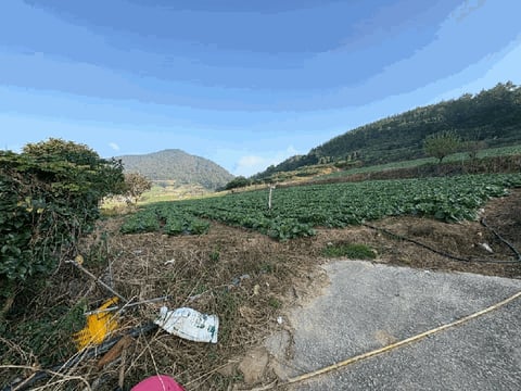 물건 사진 11