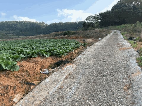 물건 사진 14