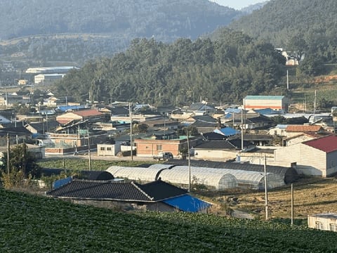 물건 사진 15