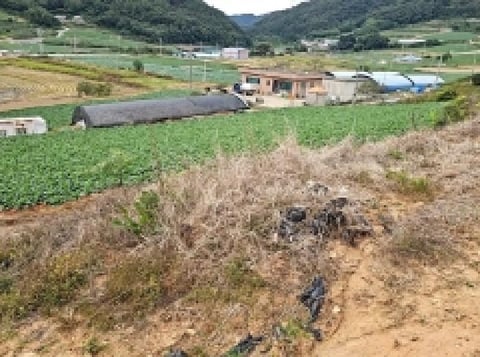 물건 사진 3