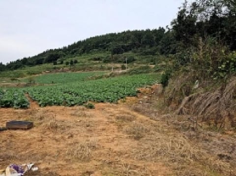 물건 사진 4