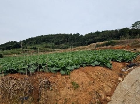 물건 사진 5