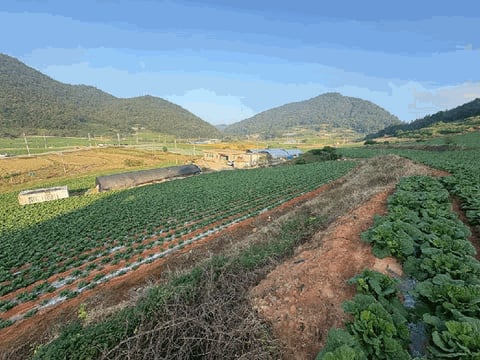 물건 사진 6