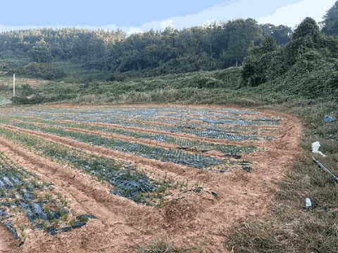 물건 사진 10