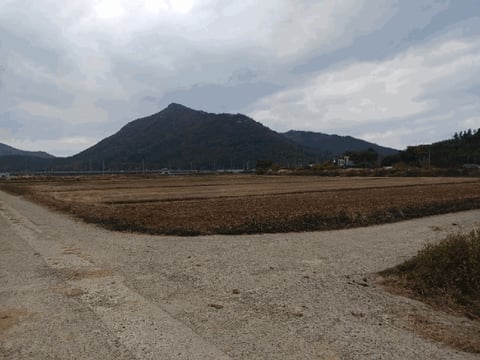 물건 사진 15