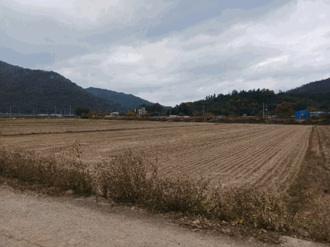 물건 사진 16