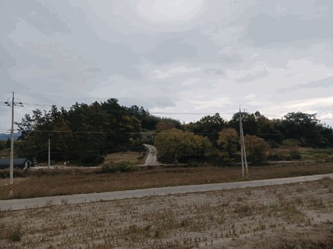 물건 사진 17