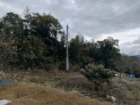 물건 사진 19