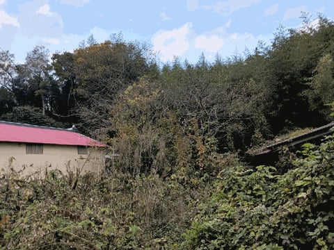 물건 사진 20