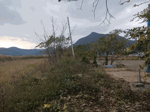 물건 사진 23