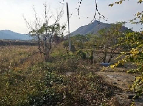 물건 사진 4