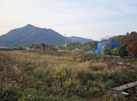 물건 사진 7