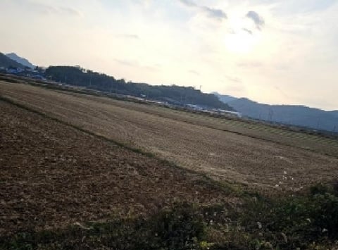 물건 사진 8