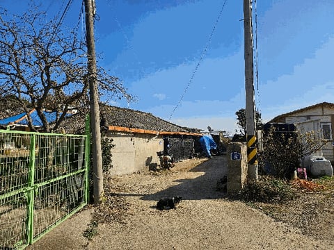 물건 사진 16