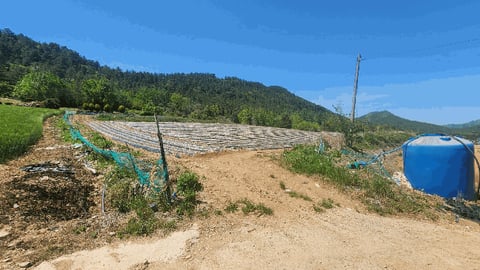 물건 사진 17