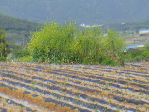 물건 사진 3