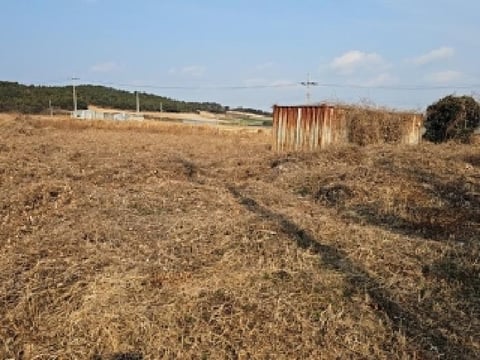 물건 사진 2
