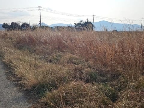 물건 사진 3