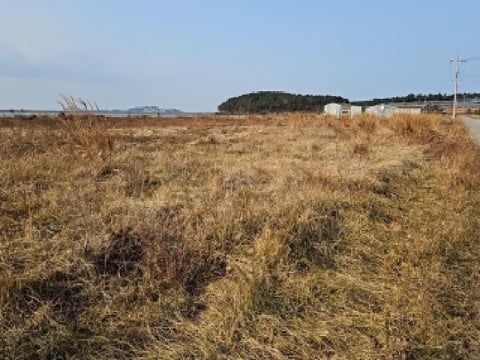 물건 사진 4