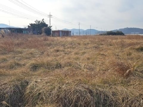 물건 사진 5