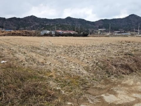 물건 사진 11
