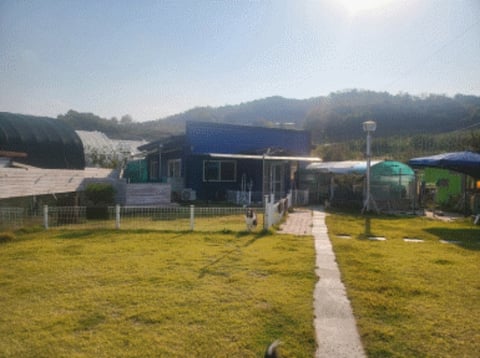 물건 사진 2