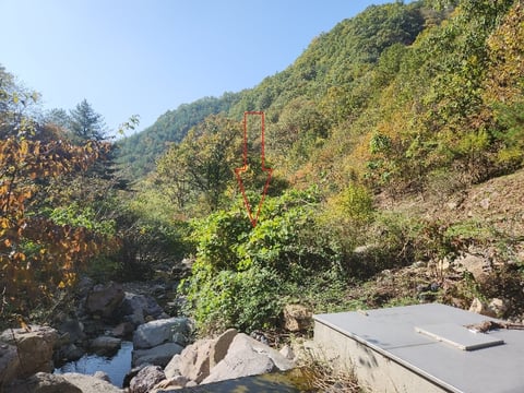 물건 사진 20