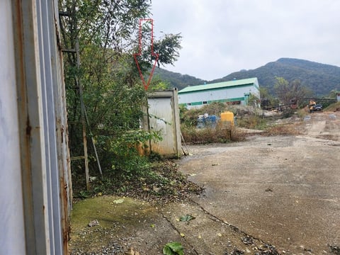 물건 사진 22