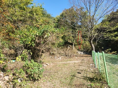 물건 사진 25