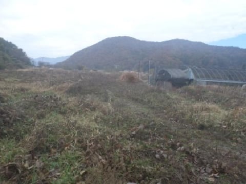 물건 사진 16