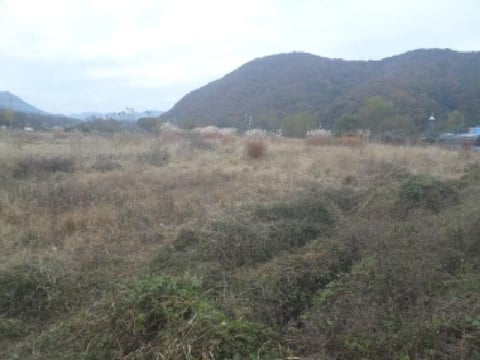 물건 사진 19