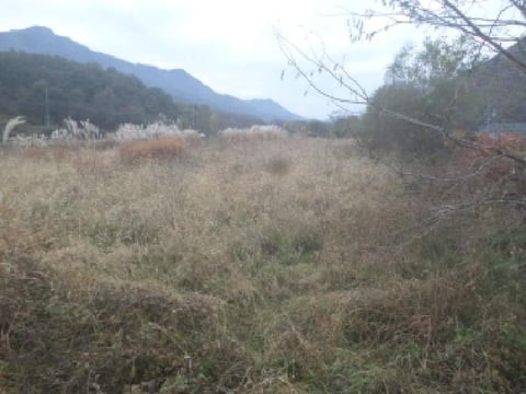 물건 사진 20