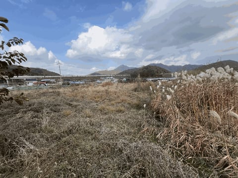 물건 사진 29