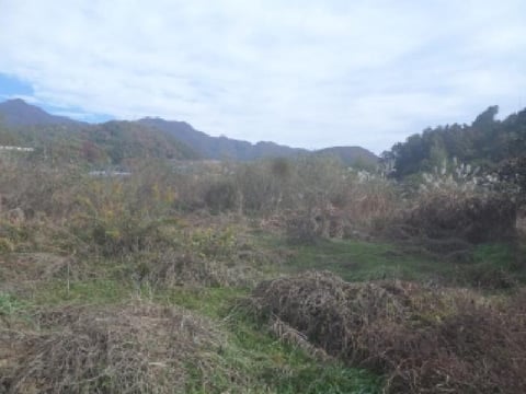 물건 사진 6