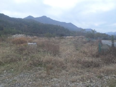물건 사진 9