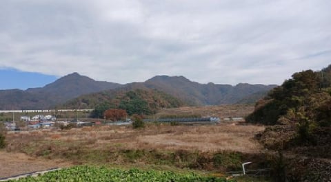 물건 사진 11