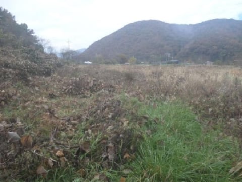 물건 사진 12