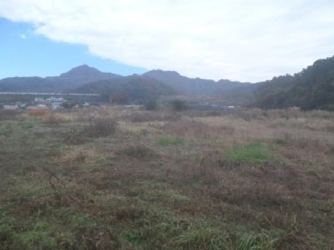 물건 사진 15