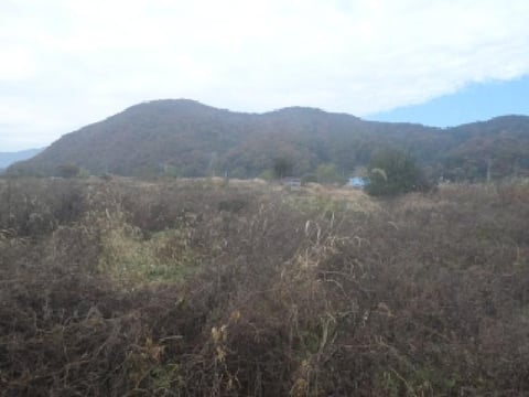 물건 사진 17