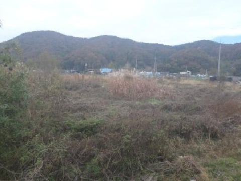 물건 사진 8