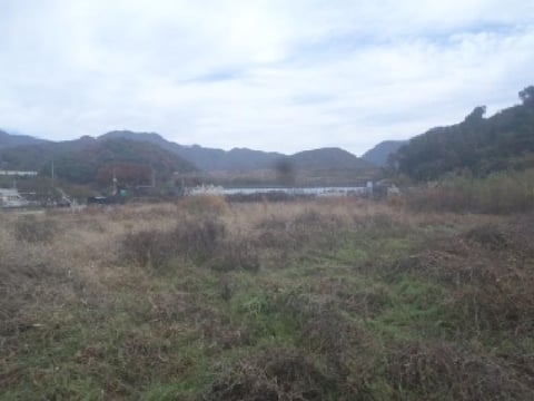 물건 사진 10