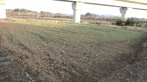 물건 사진 21