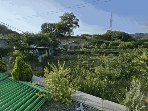 물건 사진 16
