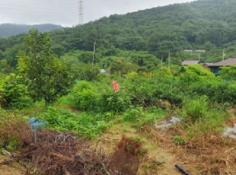 물건 사진 7