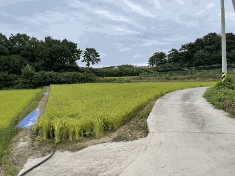 물건 사진 59