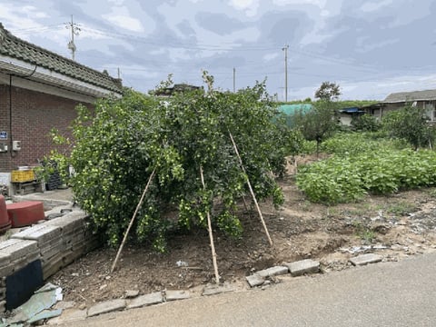 물건 사진 48